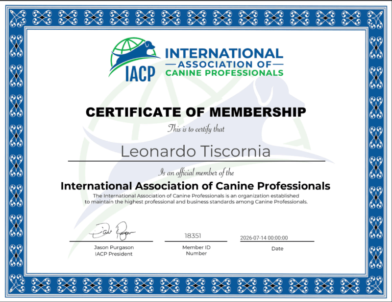 Certificado de membresía IACP de Leonardo Tiscornia
