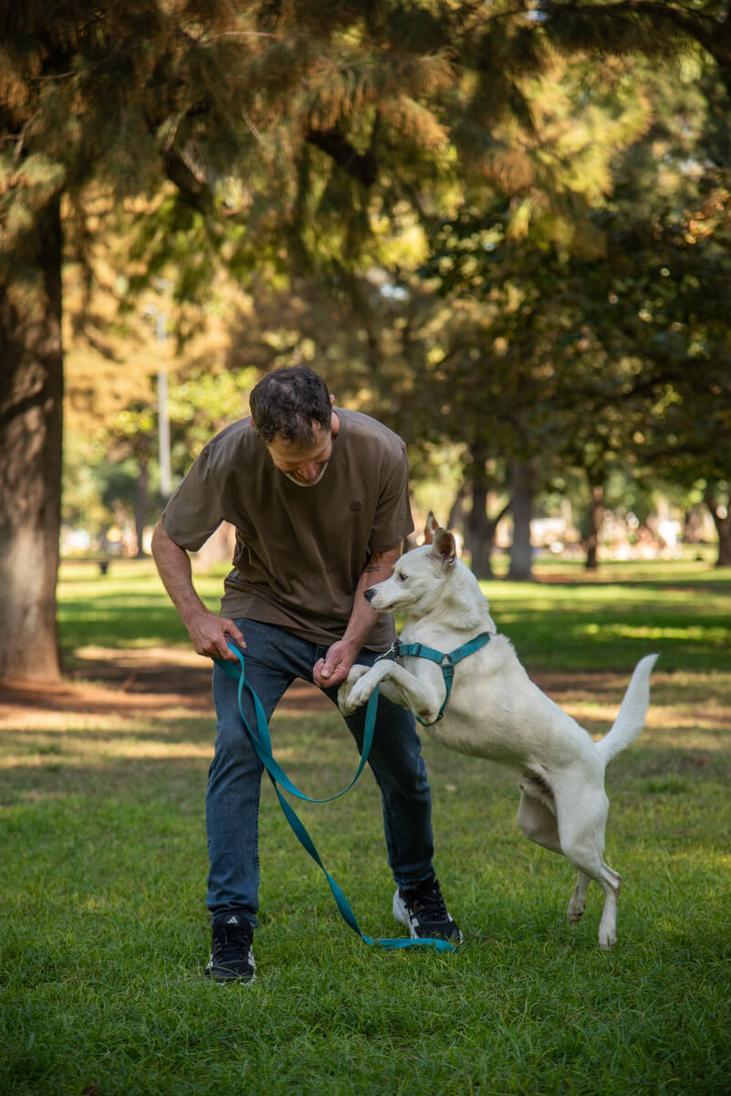 Clase de perros